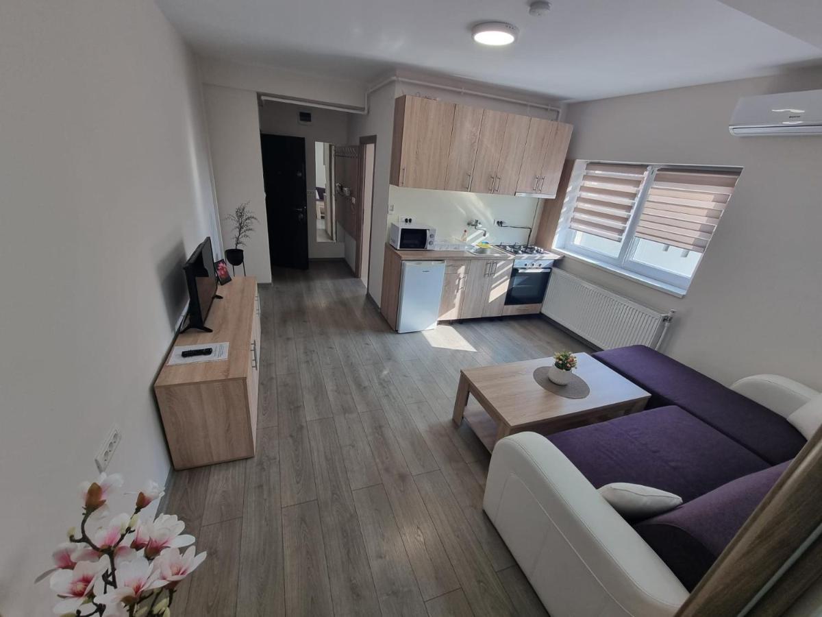 City Premium Apartments ティミショアラ エクステリア 写真
