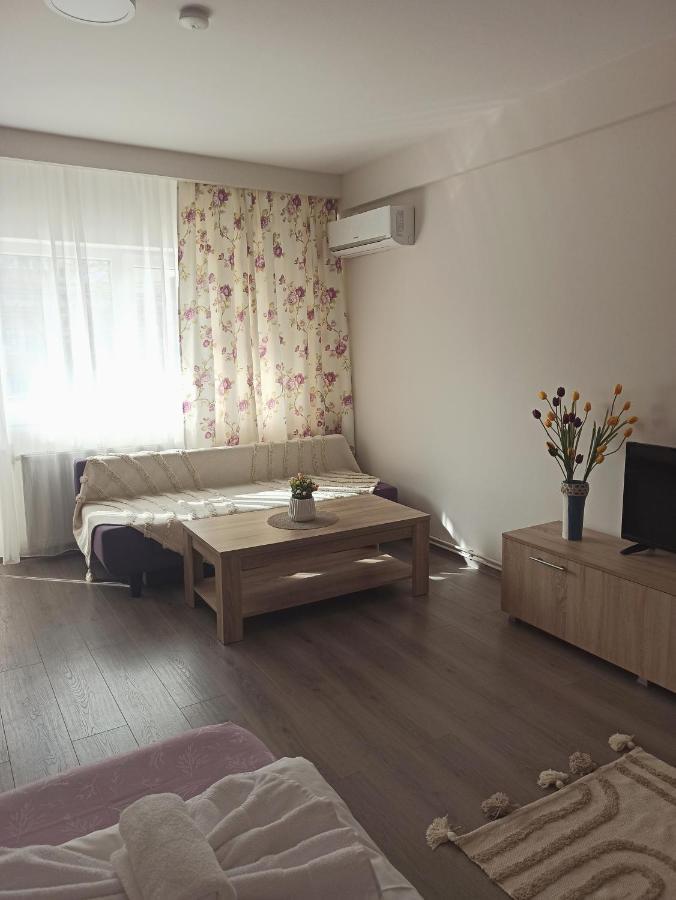 City Premium Apartments ティミショアラ エクステリア 写真