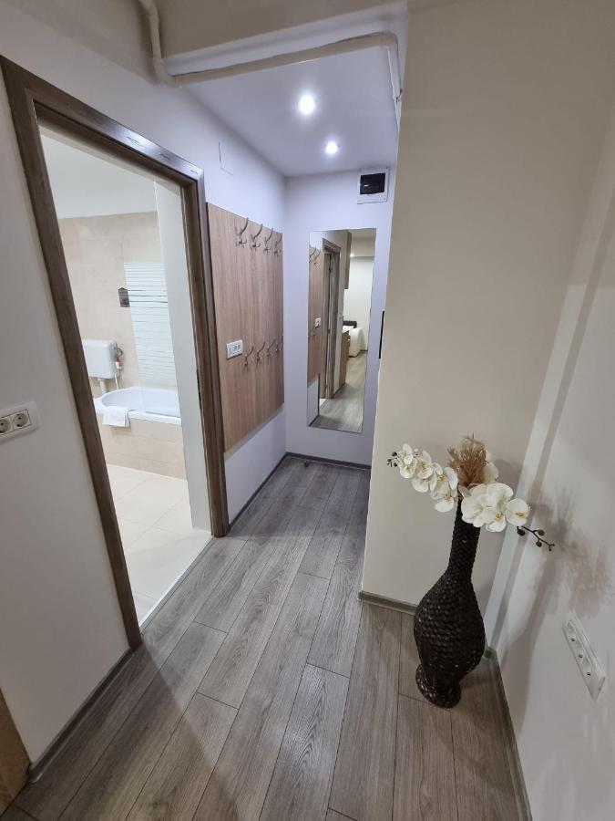City Premium Apartments ティミショアラ エクステリア 写真