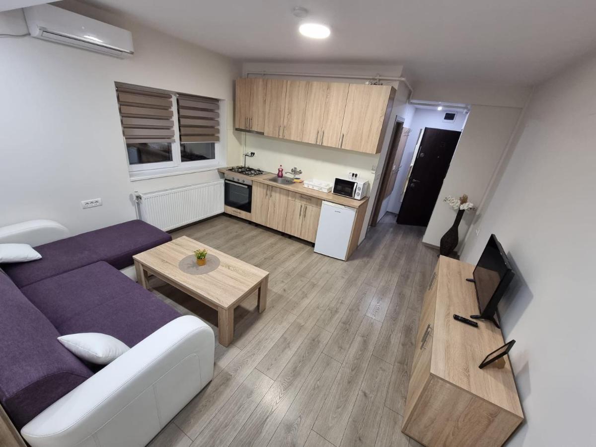 City Premium Apartments ティミショアラ エクステリア 写真